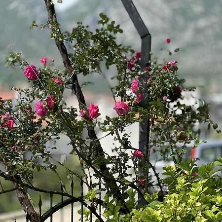 Ms Apartment Μόσταρ Εξωτερικό φωτογραφία